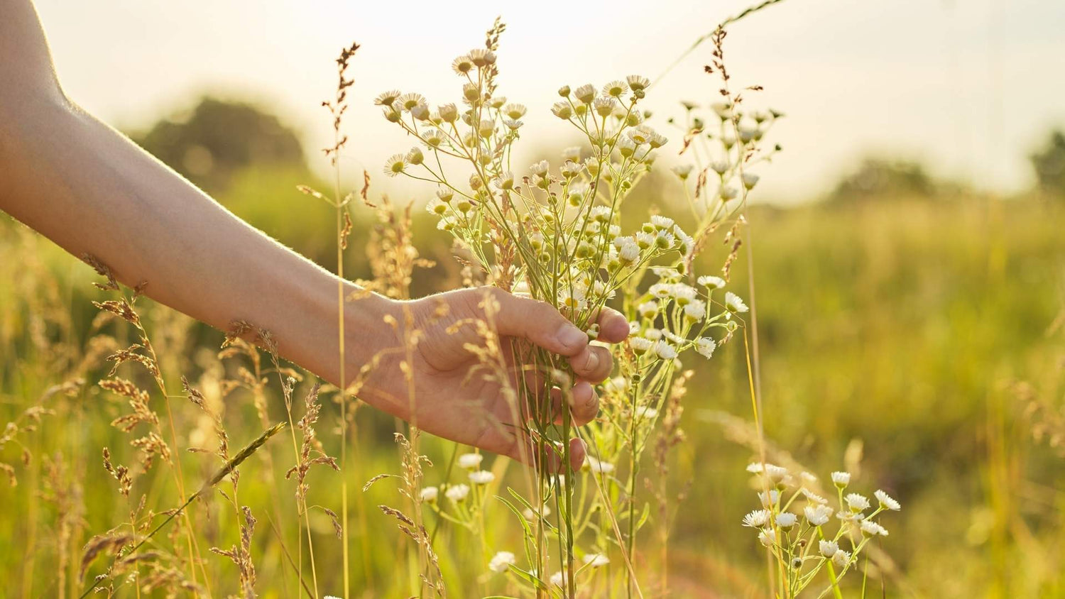 Mut- & Kraftgeschenke – kleine Zeichen, die stärken