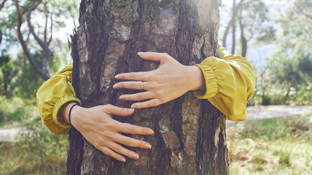 Geschenke für Naturliebhaber